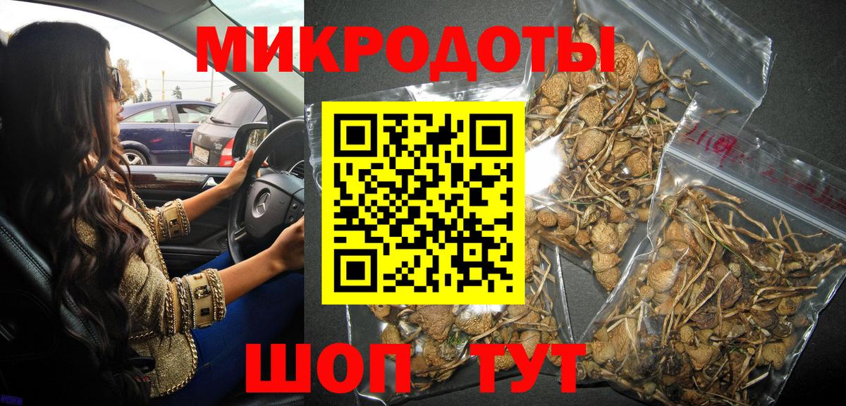 Донской  Галлюциногенные грибы мицелий  Вход с VPN 