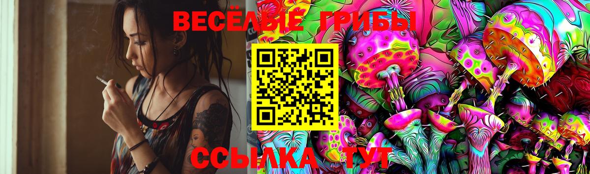 Псилоцибиновые грибы мухоморы Донской